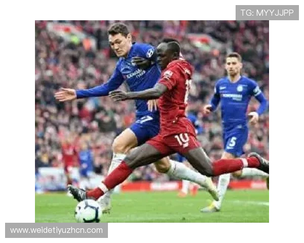 新用户必看D3顶盛体育会员注册流程详解及注册后权益介绍